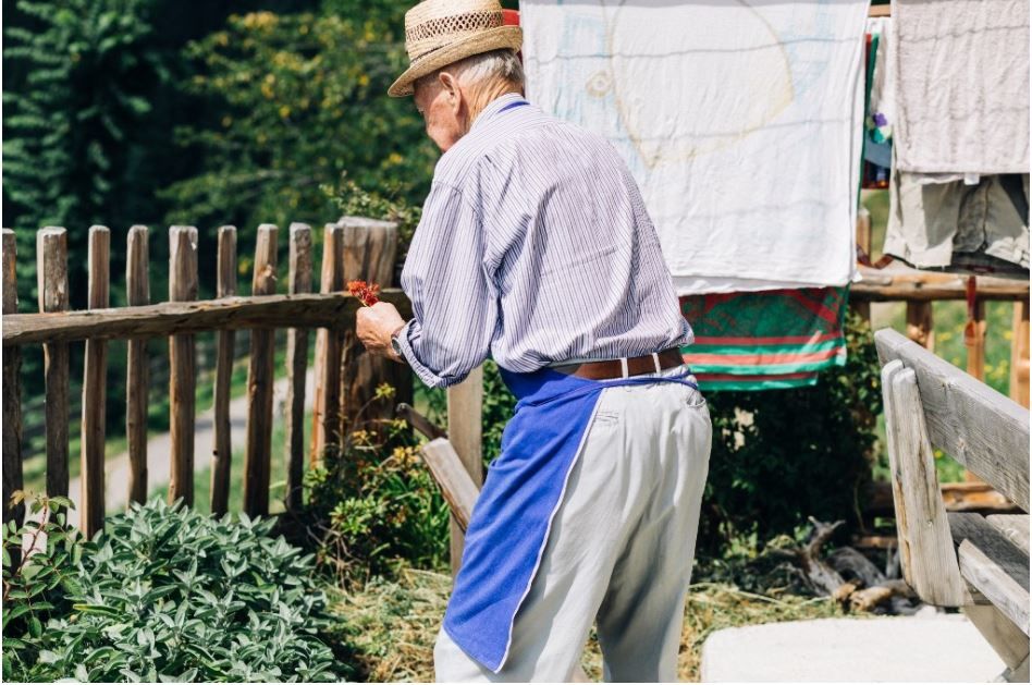 Ricercatori in Calabria a caccia dell’elisir di lunga vita