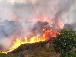 Nasce il "Comitato stop incendi"