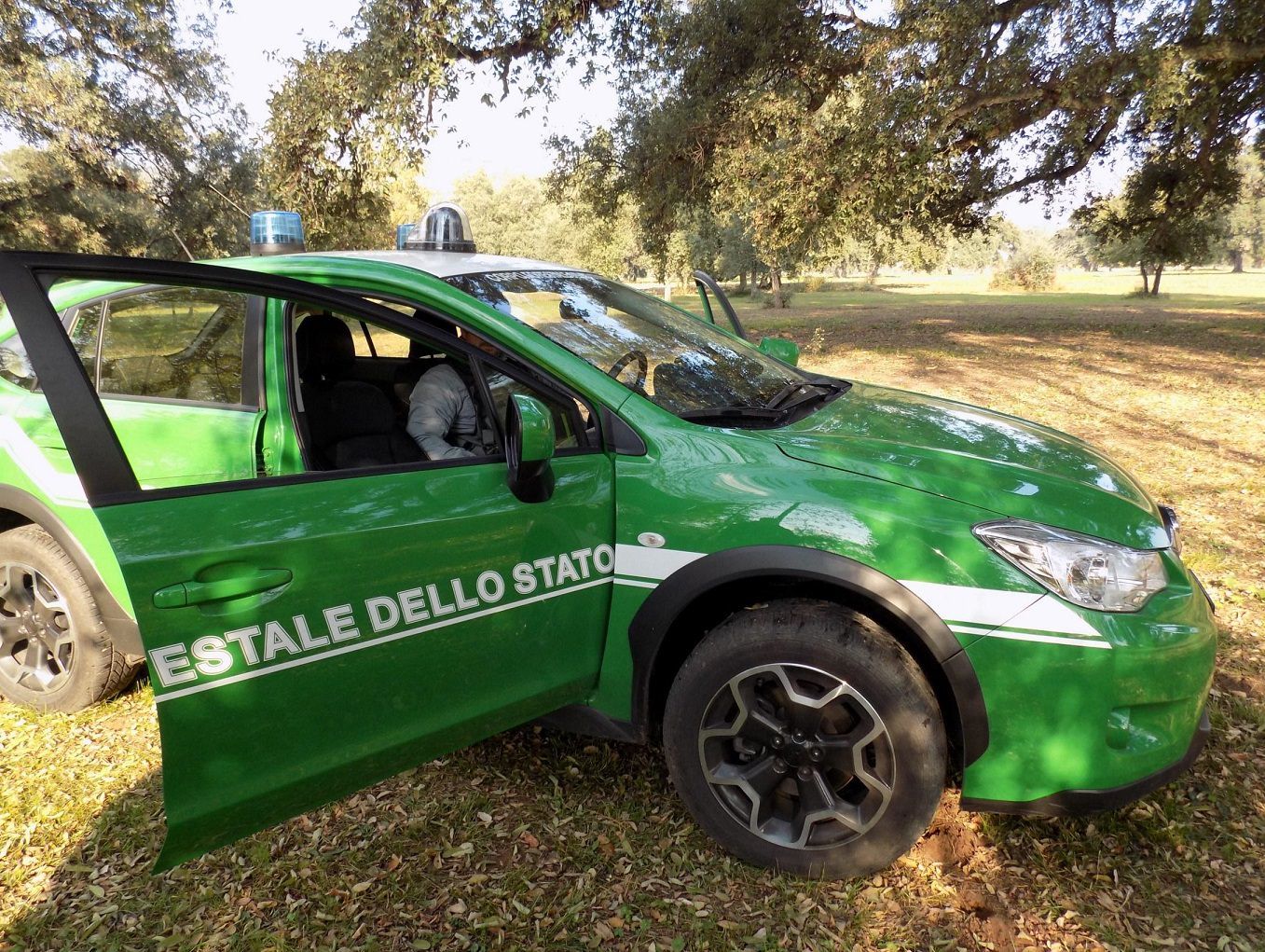 Palmi, scoperto caseificio fatiscente. Una denuncia