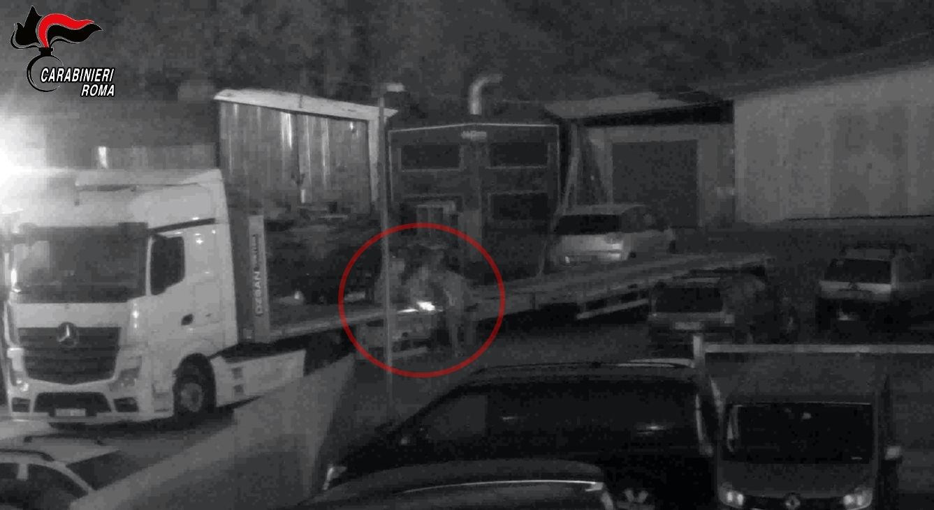 Gli affari dell’ultimo della Magliana: il carico di coca dalla Colombia e il “canale” calabrese. «Sono i Molè di Gioia Tauro»