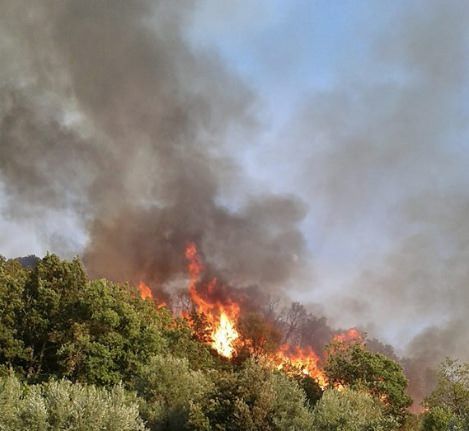 «Forse anche tra i volontari c'è chi appicca incendi» – VIDEO