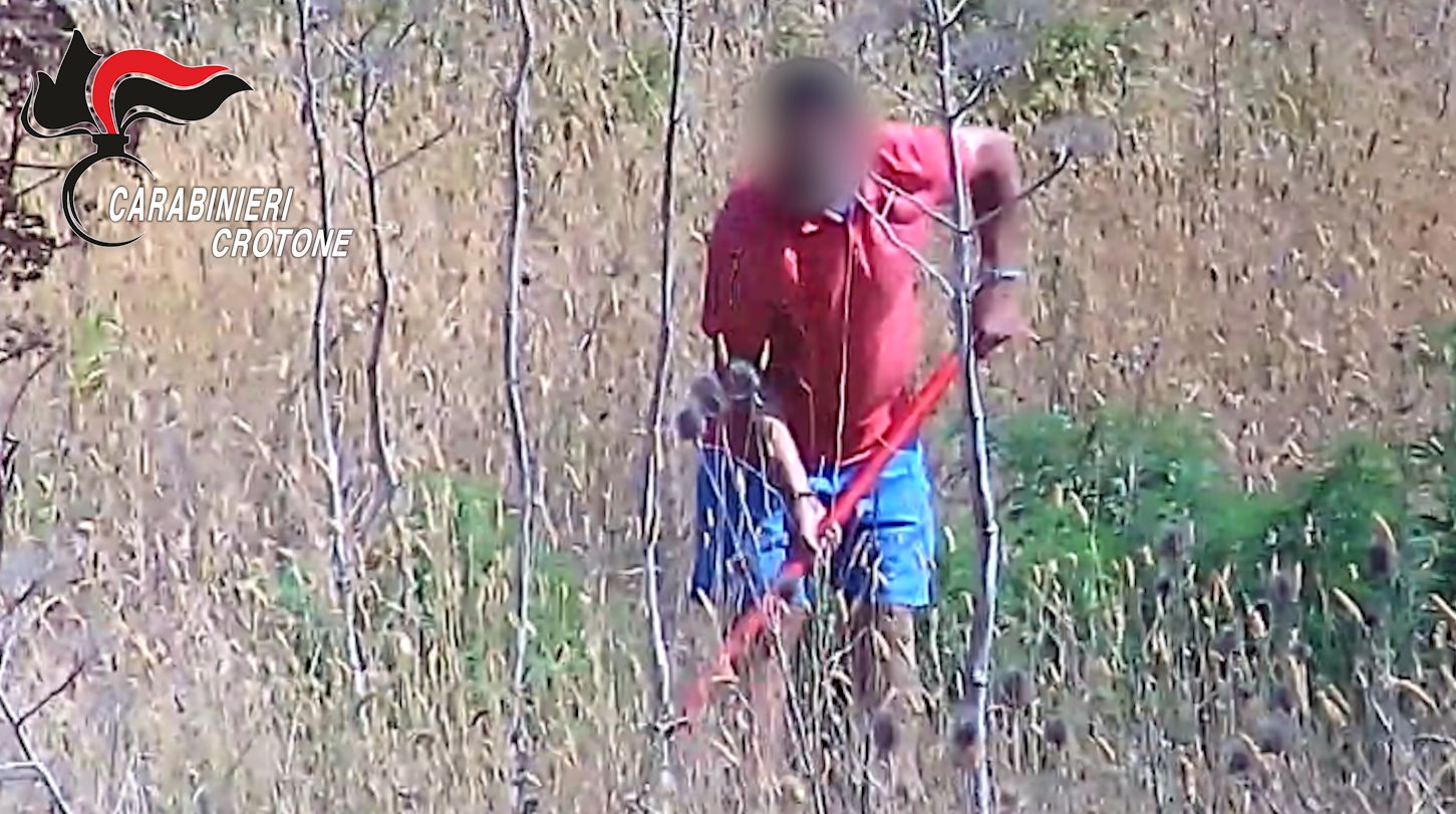 Crotone, sei arresti per la filiera della marijuana – FOTO E VIDEO