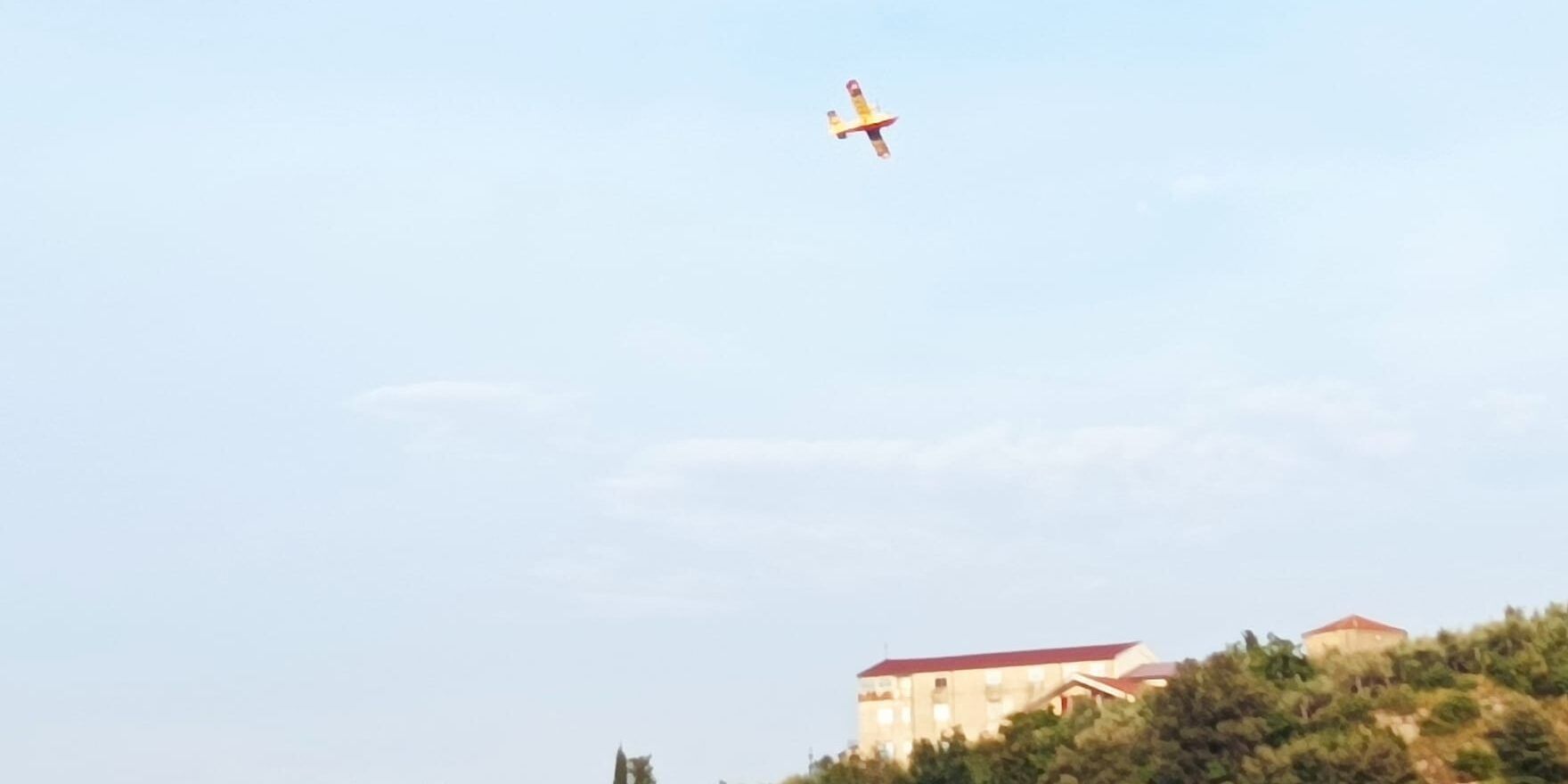 Uno o più piromani in azione tra Carolei e Domanico: rogo domato dopo 24 ore