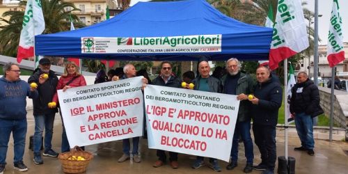 Protesta dei produttori di bergamotto davanti al Consiglio regionale