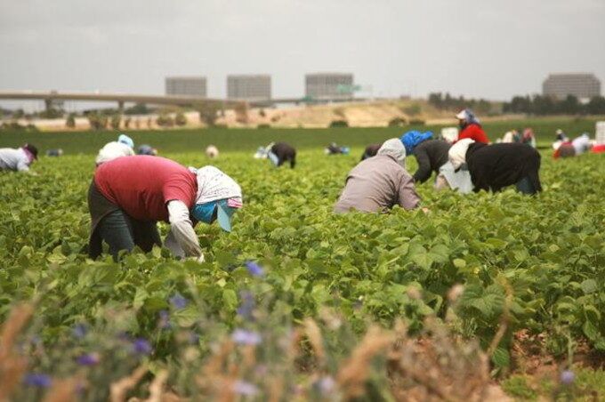 Fiatti (Cgil): «La California d’Italia che sfrutta le donne»