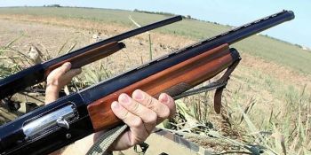 Sette cacciatori assaliti all’alba e derubati dei fucili nella Piana di Gioia Tauro