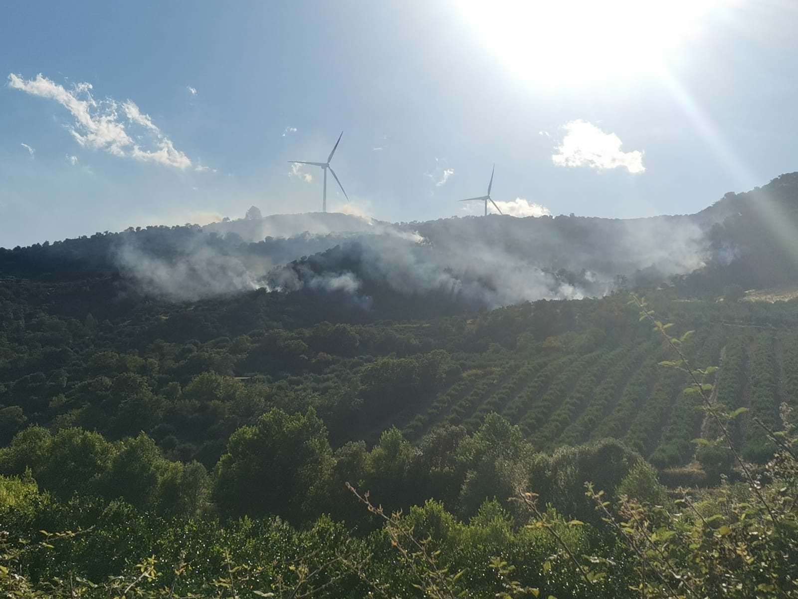 Le fiamme divampano, in Calabria 20 incendi nella giornata di oggi