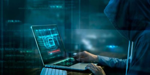 ndrangheta web cyber