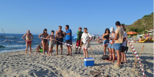 nido caretta caretta parghelia