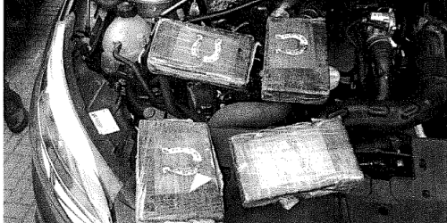 Droga 'ndrangheta Garden