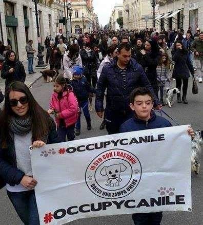 "Dacci una zampa" e "Randagio io" di nuovo in piazza