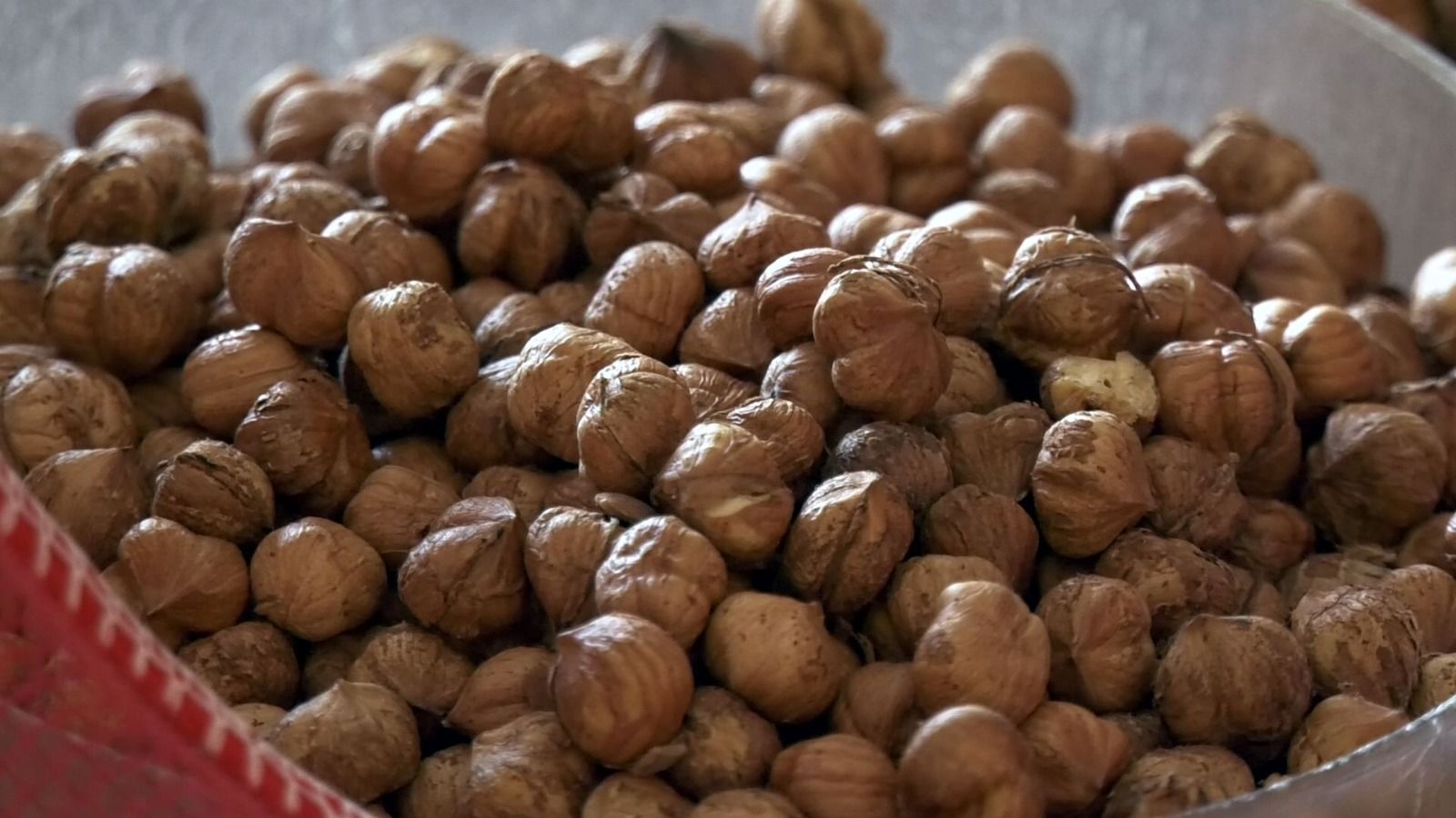 La “guerra delle nocciole” finisce sulla stampa olandese