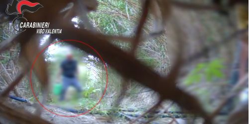 droga vibo reggio arresti