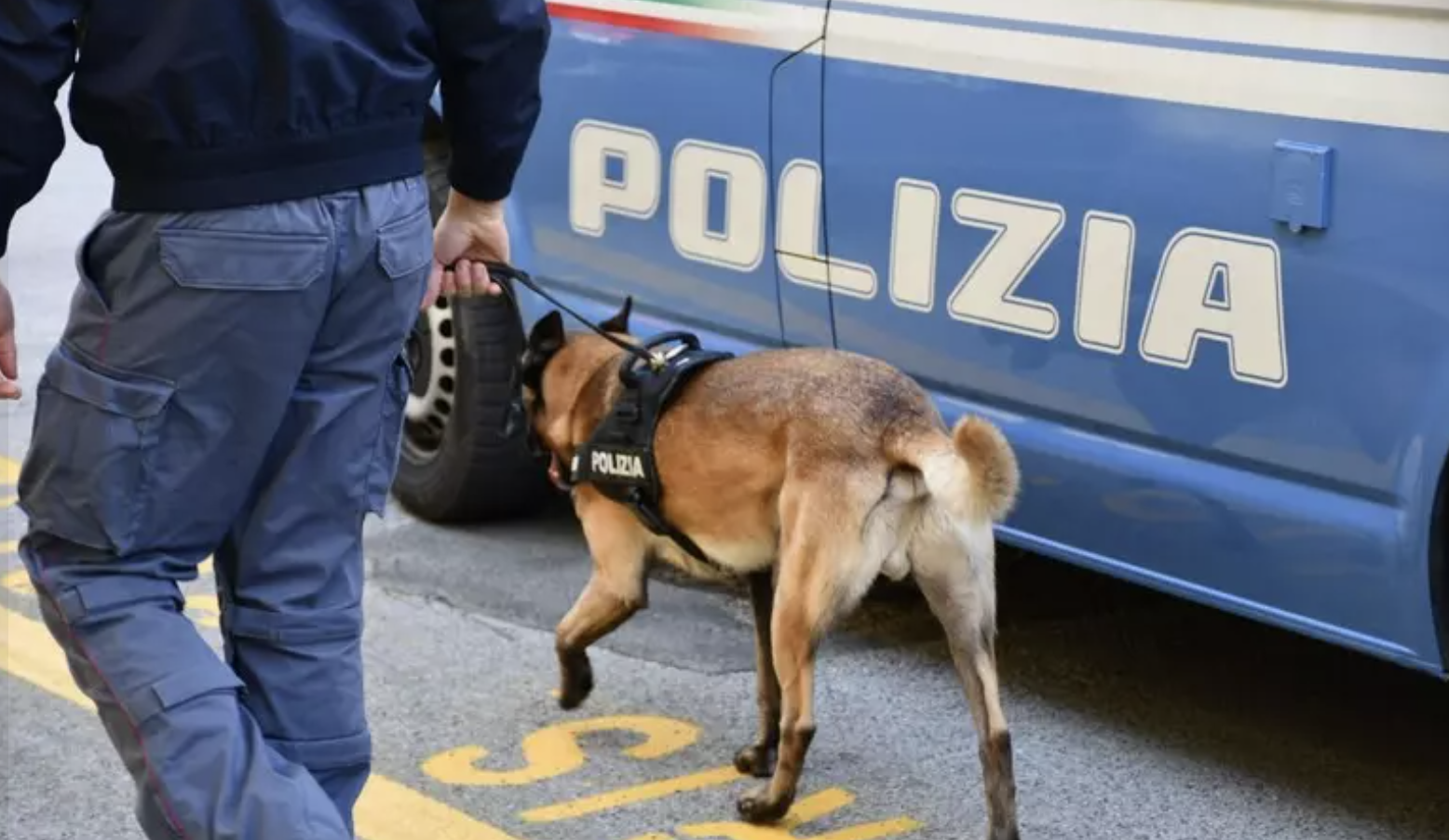 In Basilicata con oltre 3 kg di cocaina e una pistola: arrestati 3 calabresi