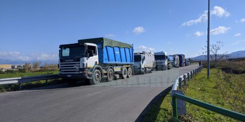 rifiuti lamezia logica