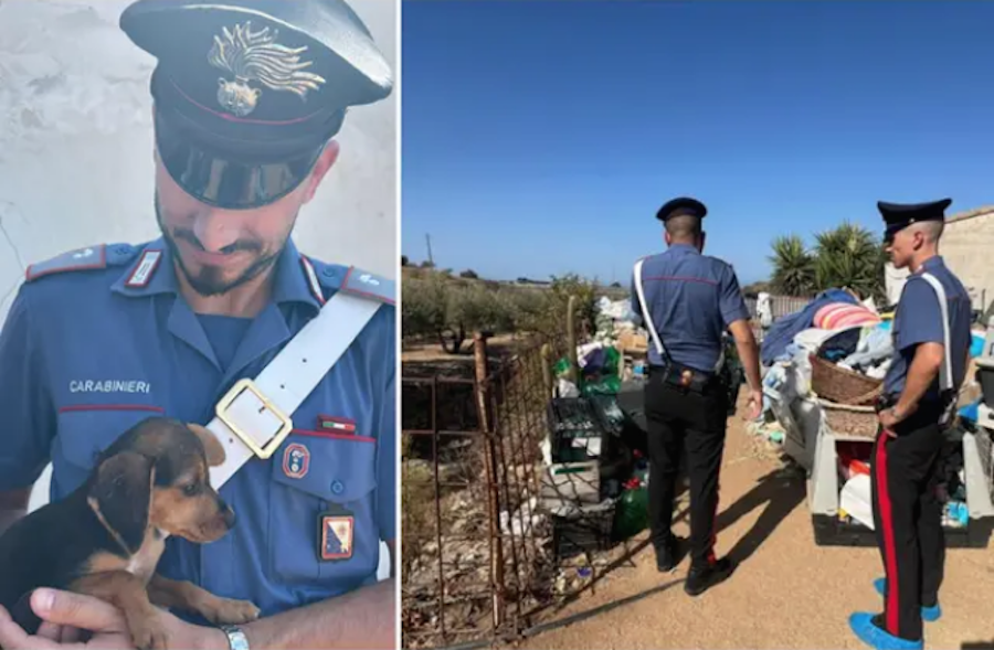 Orrore nel canile, denunciate due donne