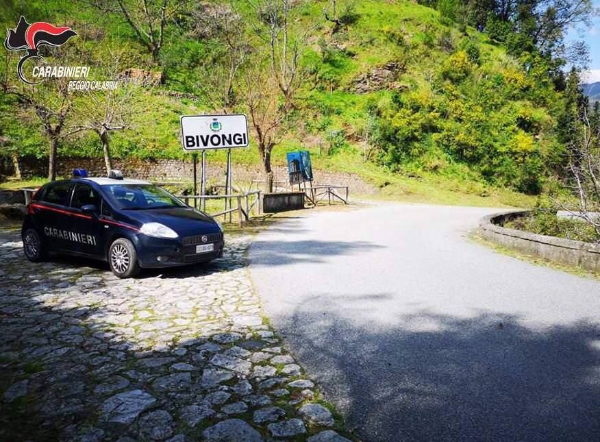 Bivongi, abbandono di rifiuti: Carabinieri denunciano un macellaio