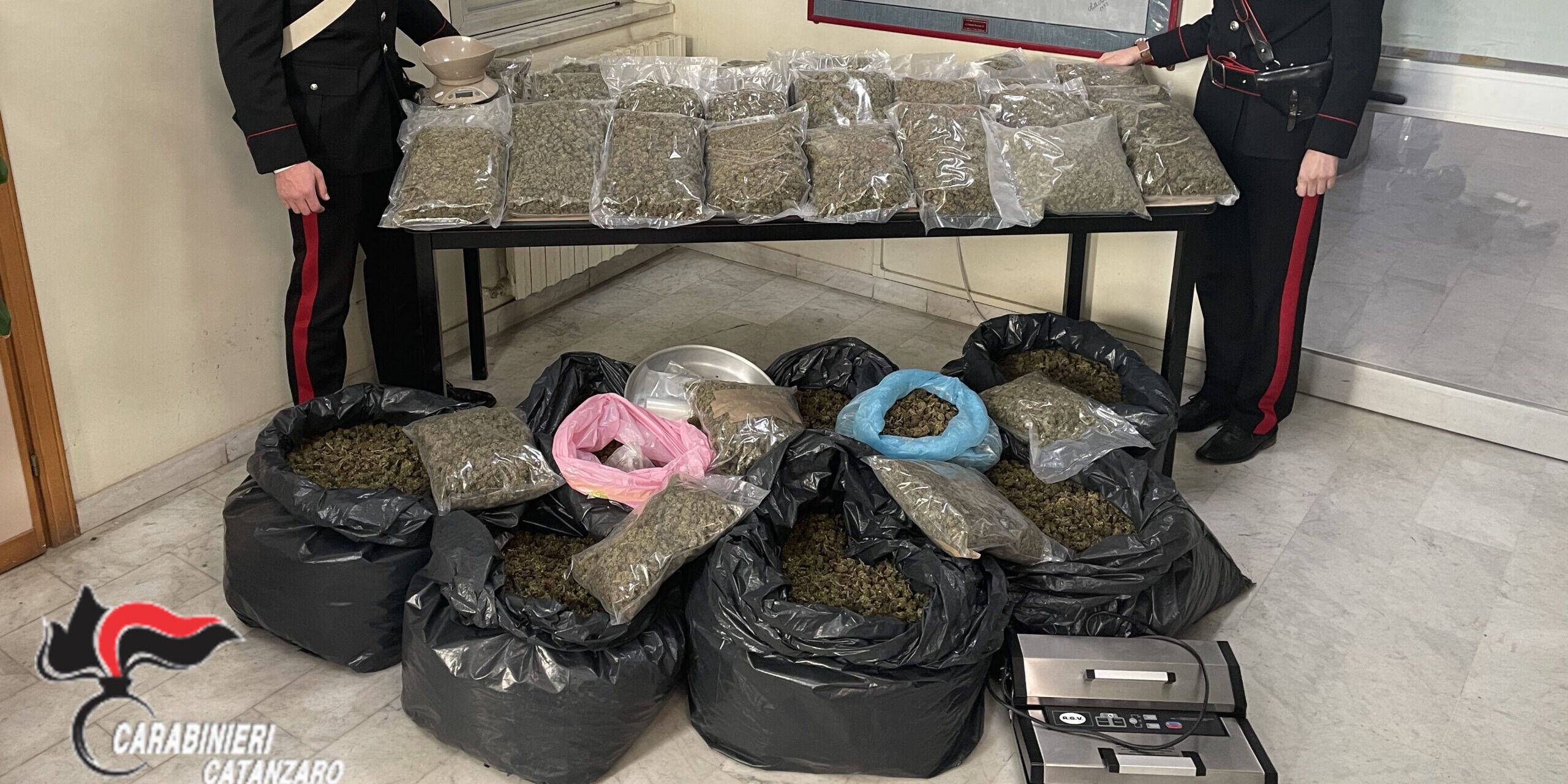 Maxi sequestro di marijuana a Lamezia: coniugi beccati con 54 chili di droga