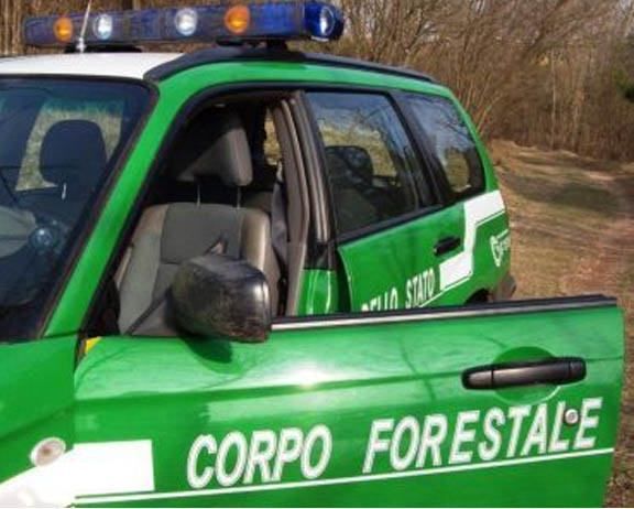 Abusivismo, sequestrato ricovero per animali nel Cosentino