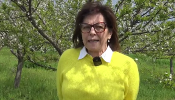 Dalla terra al riscatto, il modello de “Le Agricole”. Bavaro: «I fragili non sono la fragilità» – VIDEO