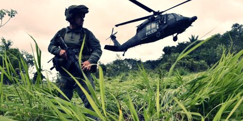 caccia latitante Kleopatra Gallace