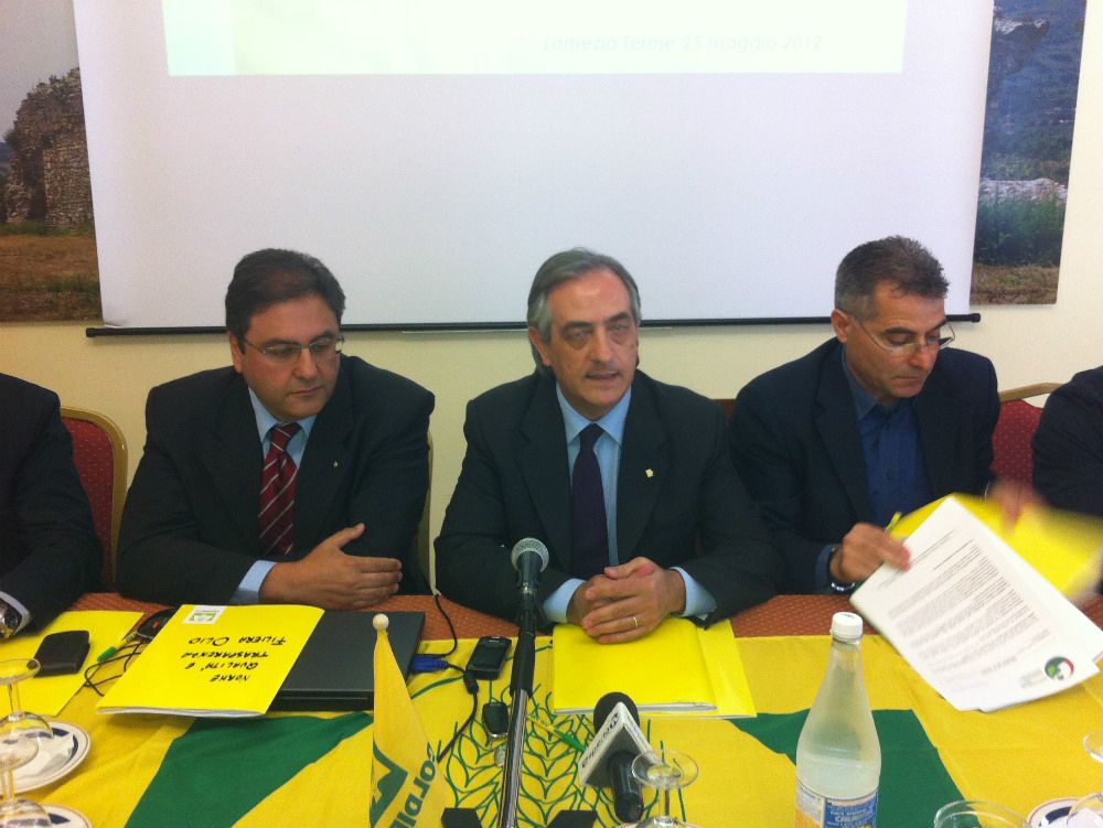 Olio d`oliva, la Coldiretti chiede un`etichettatura più chiara