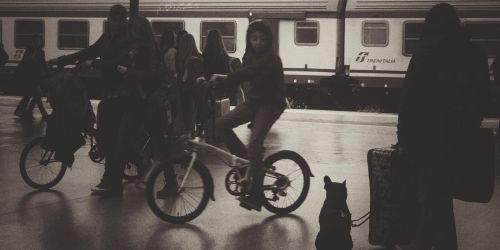 foto corriere della calabria f.v.