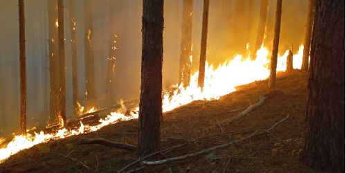 incendio san giovanni in fiore