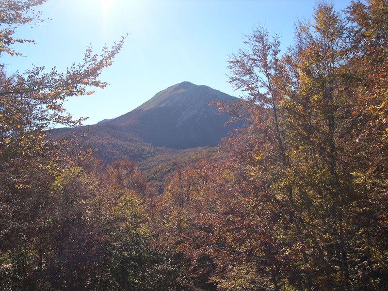 Volontari scoprono discarica nel Parco del Pollino, inoltrata segnalazione
