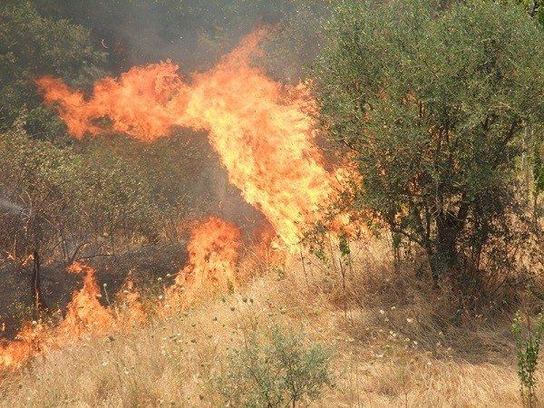 Puliscono un terreno e provocano un incendio, denunciati