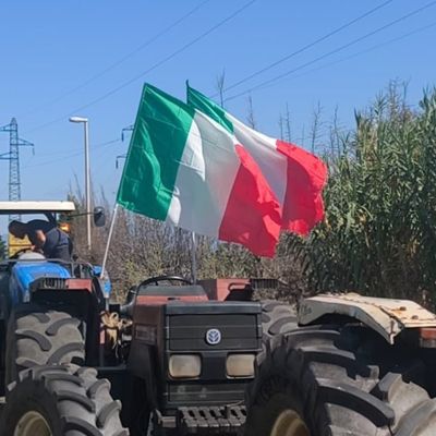 Caro carburante, scatta anche in Calabria la protesta degli agricoltori. Trattori in strada e blocchi agli svincoli | FOTO E VIDEO