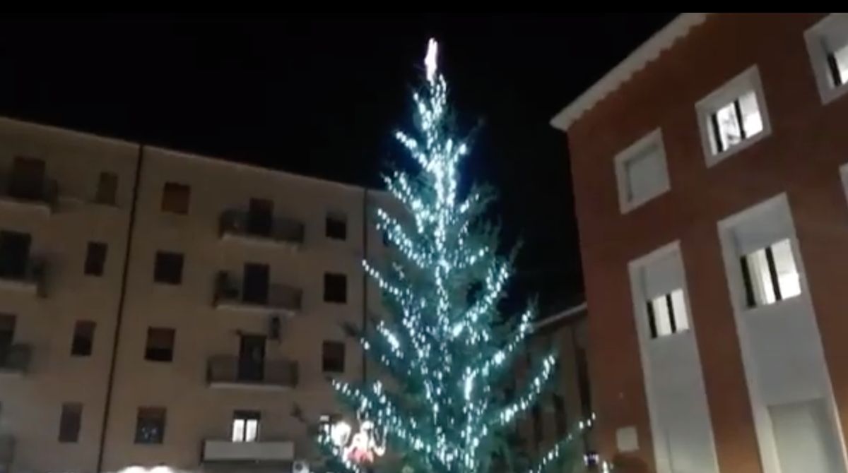 Tensioni tra associazioni a Crotone. Un albero di Natale fa scoppiare la scintilla