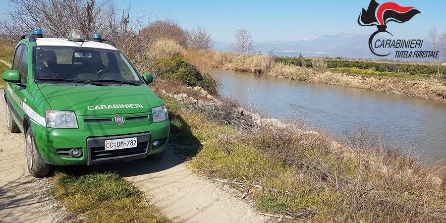 Sequestrati agrumeti occupati abusivamente a Corigliano: 16 gli indagati