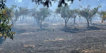 Incendi nella proprietà di Doris Lo Moro, la solidarietà della Cgil