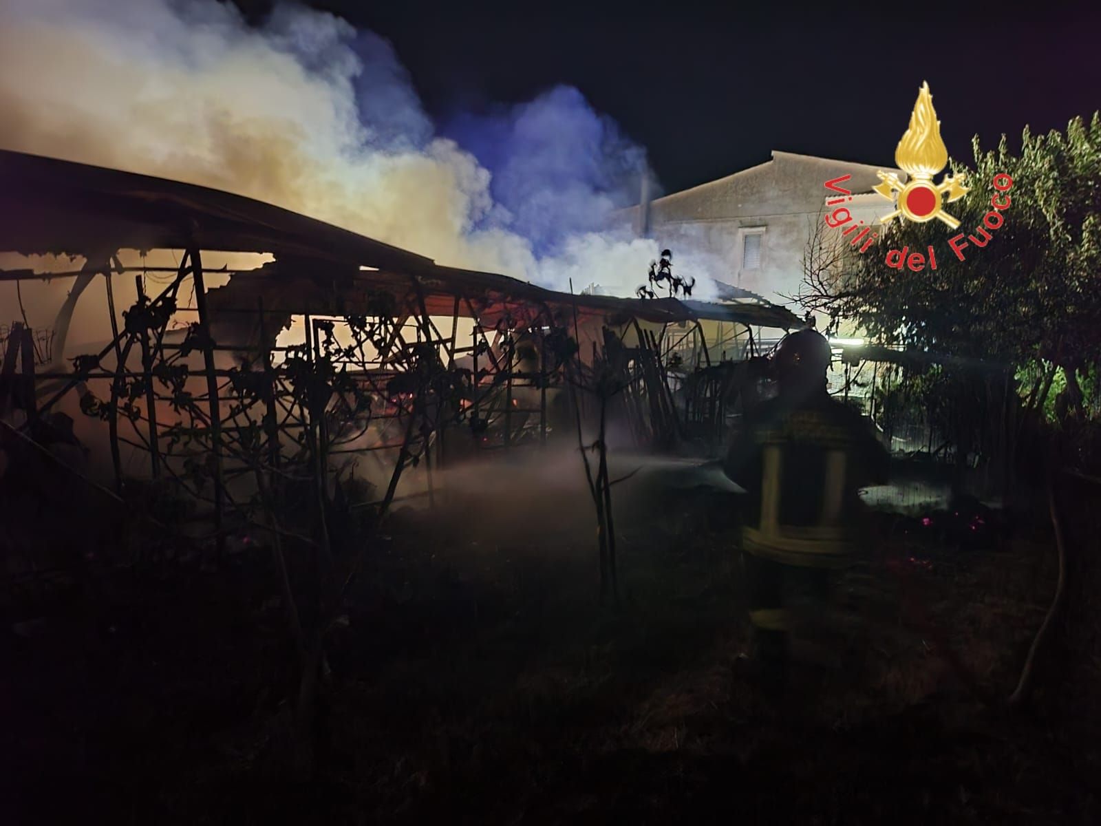 Paura nella notte a Lamezia: un incendio distrugge un capanno per la vendita di fiori – FOTO