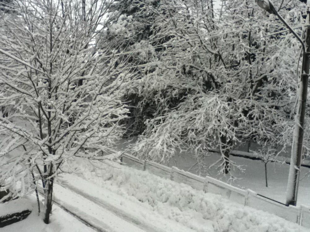 Gelo in Sila, a Monte Botte Donato – 11 gradi