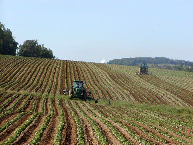La Regione finanzia 402 giovani agricoltori
