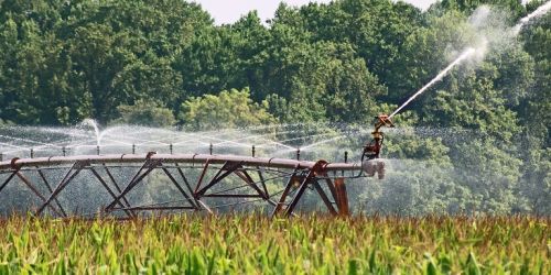 Pnrr, alla Calabria 139 milioni per l'agrosistema irriguo