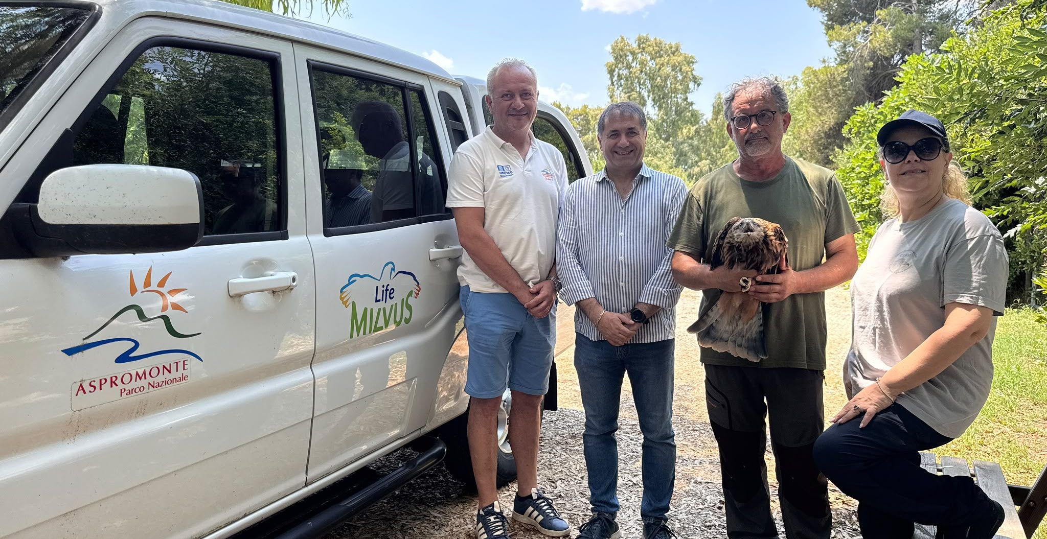 Nel Parco dell’Aspromonte arriva un nibbio reale nato in Italia