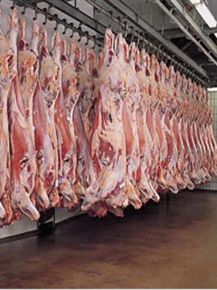 Macellavano e vendevano carni di capi malati, denunciate 16 persone