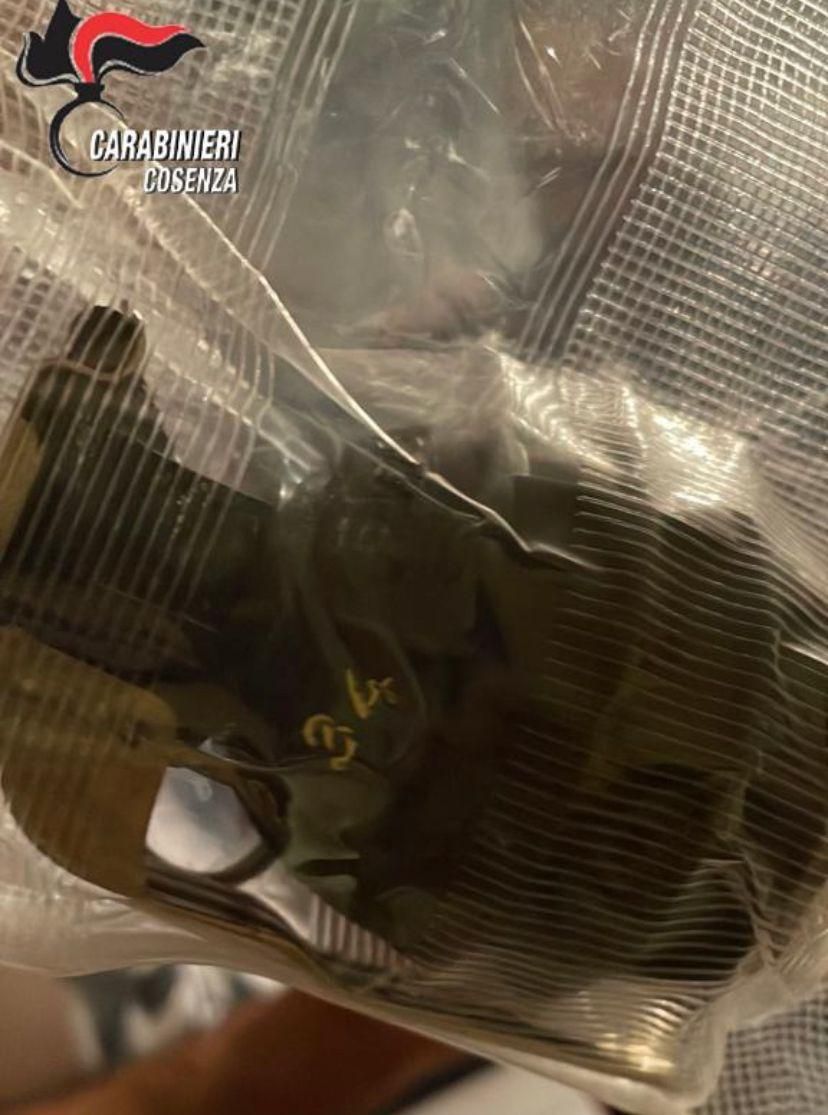 Droga, una tentata rapina alle poste e anche una bomba a mano: 9 misure cautelari nel Cosentino – VIDEO