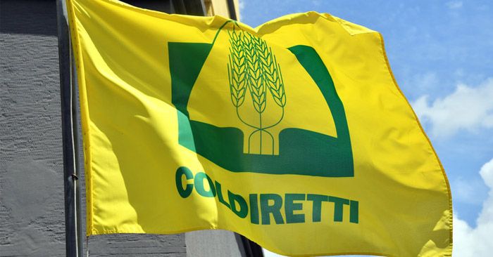 Il calabrese Luca Celestino nominato vicedirettore regionale della Coldiretti Basilicata