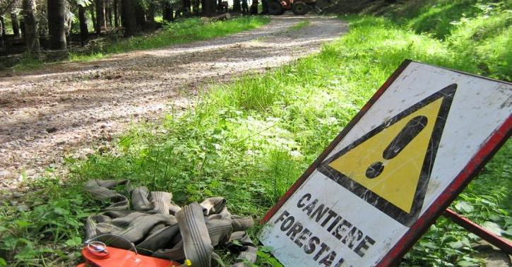 Calabria Verde, cinque anni di stipendi senza mai lavorare. La truffa dell’operaio forestale