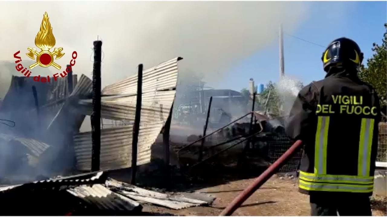 Incendio a Montalto Uffugo, distrutto un fienile – VIDEO