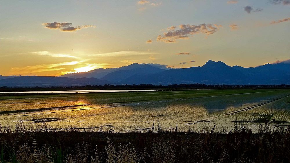 Ingiunzioni di pagamento del Consorzio di bonifica, la Cassazione libera centinaia di contribuenti