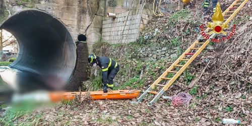 cadavere_giovane_acri