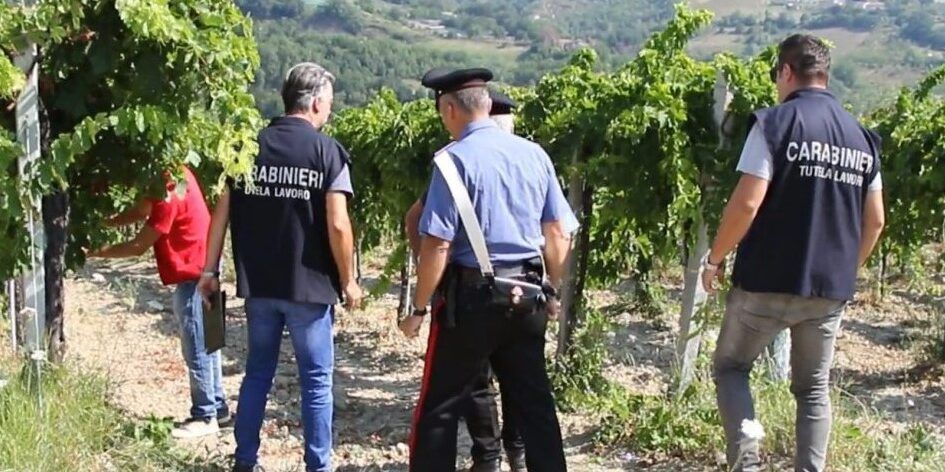 Lotta al caporalato, blitz dell’Arma nel Catanzarese: eseguite 13 misure cautelari – VIDEO