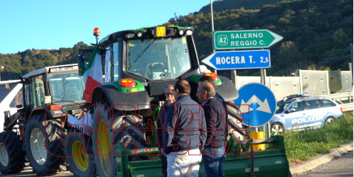 Mta_falerna