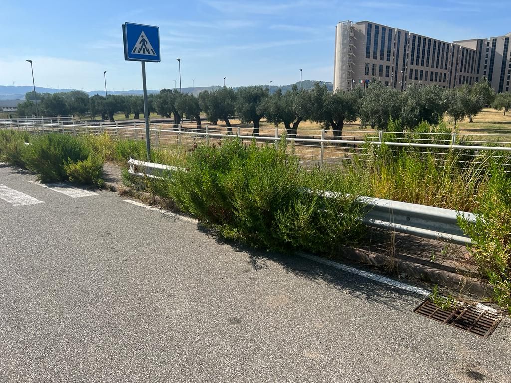 «I marciapiedi della Cittadella sono una giungla: segnalazioni da mesi e nessuno pone rimedio» – VIDEO