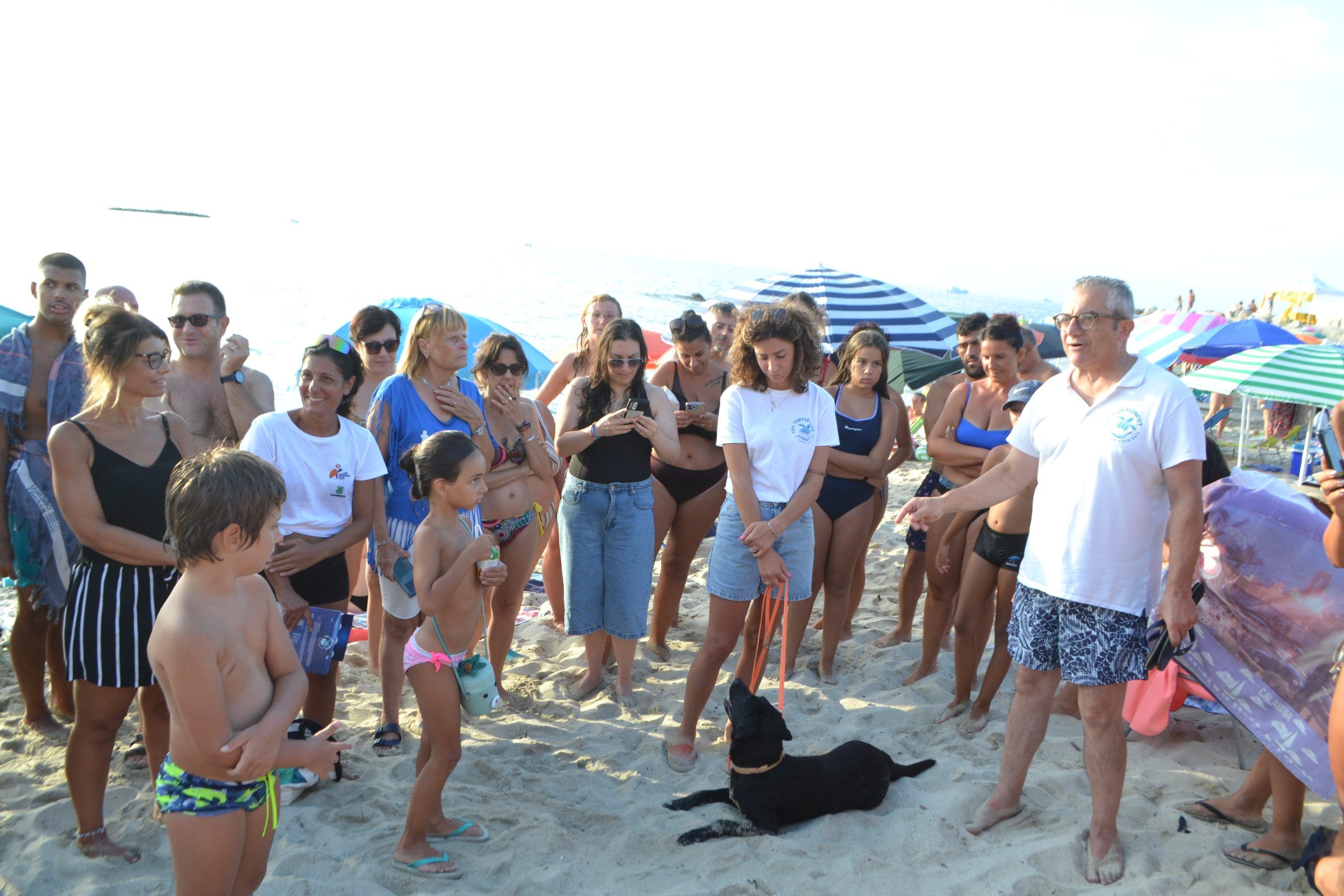 Ricadi, a caccia dei nidi di tartaruga con il fiuto dei “Tartadog”